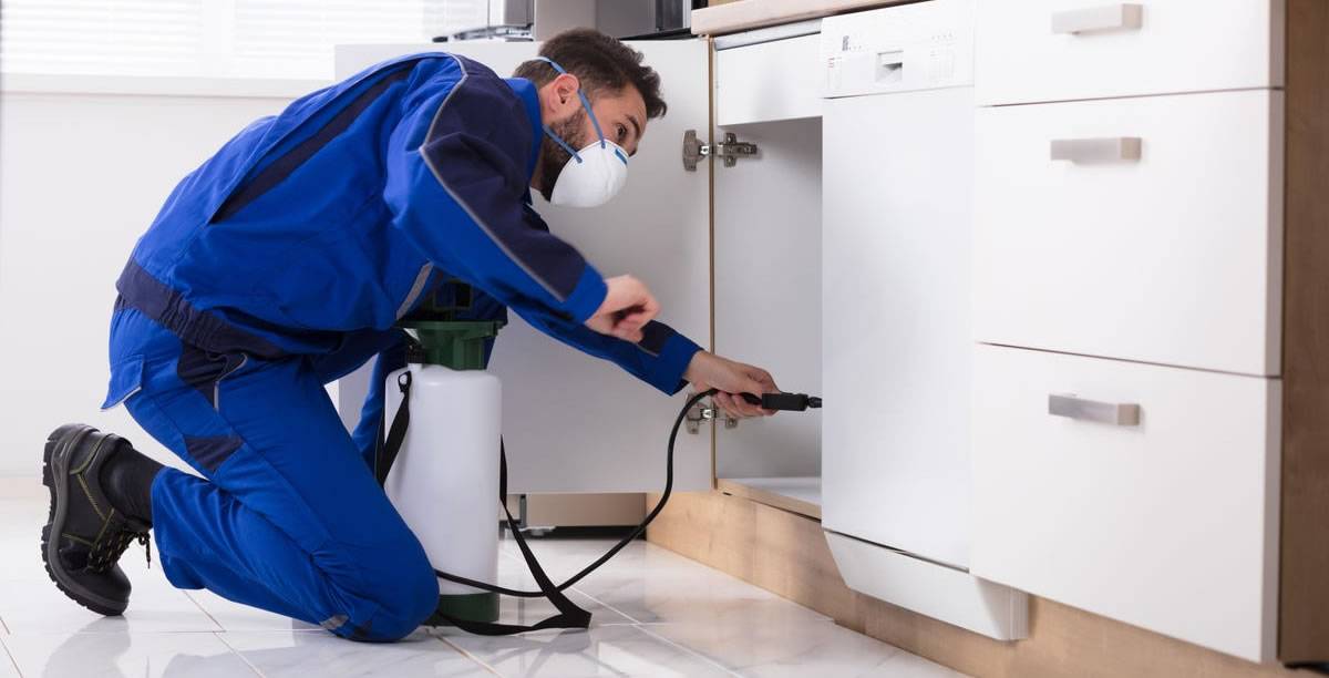Profissional realizando controle de pragas em uma residência